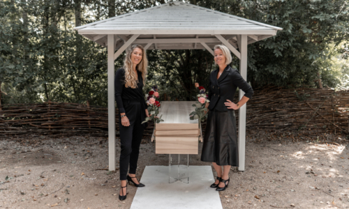 Reviews van families